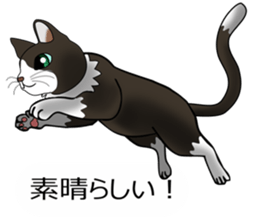 Behaved cat sticker #5091820