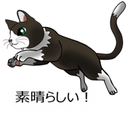 Behaved cat sticker #5091820