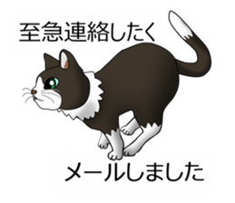 Behaved cat sticker #5091825