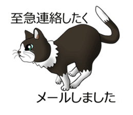 Behaved cat sticker #5091825