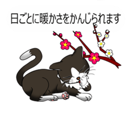 Behaved cat sticker #5091828