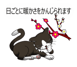 Behaved cat sticker #5091828