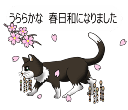 Behaved cat sticker #5091829