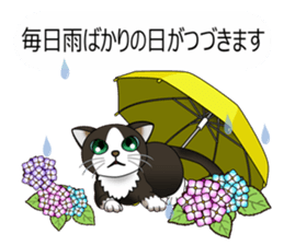 Behaved cat sticker #5091831