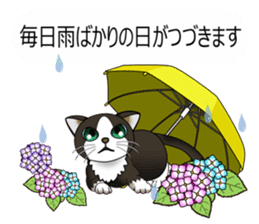 Behaved cat sticker #5091831