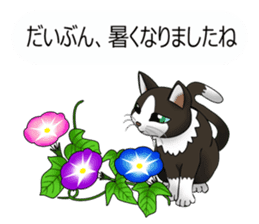 Behaved cat sticker #5091832