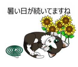 Behaved cat sticker #5091833