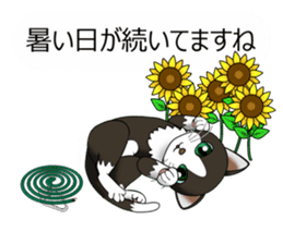 Behaved cat sticker #5091833