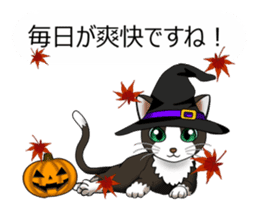 Behaved cat sticker #5091835