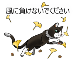 Behaved cat sticker #5091836