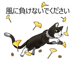 Behaved cat sticker #5091836