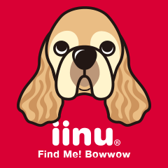 iinu - American Cocker Spaniel