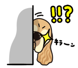 iinu - American Cocker Spaniel sticker #5092407