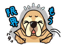 iinu - American Cocker Spaniel sticker #5092412