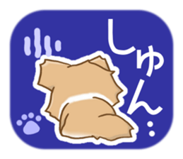 Bearish Chihuahua sticker #5094767