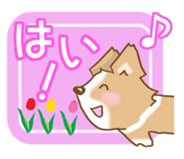 Bearish Chihuahua sticker #5094774