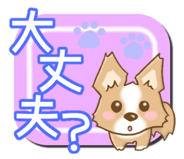 Bearish Chihuahua sticker #5094776