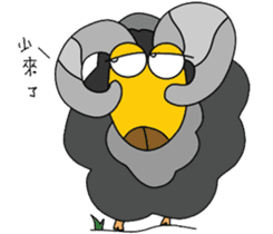 Wool. Shirt Columbia sticker #5097599