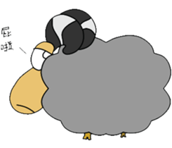 Wool. Shirt Columbia sticker #5097600