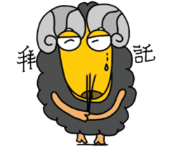 Wool. Shirt Columbia sticker #5097609