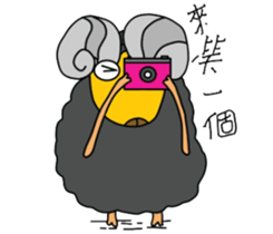 Wool. Shirt Columbia sticker #5097622