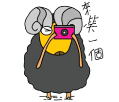 Wool. Shirt Columbia sticker #5097622