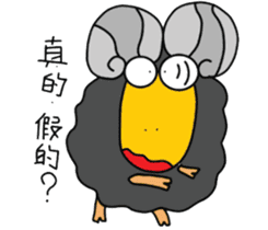 Wool. Shirt Columbia sticker #5097631