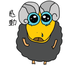 Wool. Shirt Columbia sticker #5097632