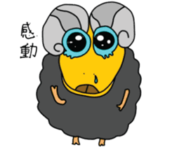 Wool. Shirt Columbia sticker #5097632