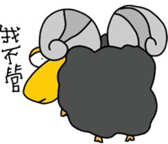 Wool. Shirt Columbia sticker #5097633