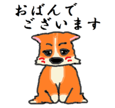 Shiba Inu and Corgi in Hokkaido sticker #5099841