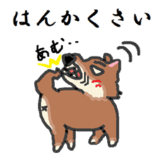 Shiba Inu and Corgi in Hokkaido sticker #5099852