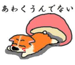 Shiba Inu and Corgi in Hokkaido sticker #5099862