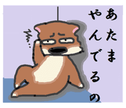 Shiba Inu and Corgi in Hokkaido sticker #5099875