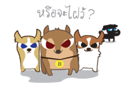 Pint : The fake jack russel sticker #5101148