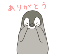 Emperor Penguin Chicks sticker #5104009