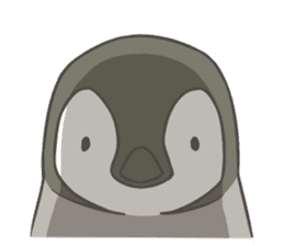 Emperor Penguin Chicks sticker #5104020
