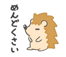 new Hedgehog Sticker! sticker #5110715