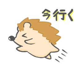new Hedgehog Sticker! sticker #5110724