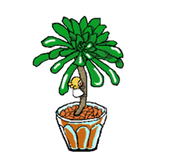 Fairy of succulent sticker #5111320