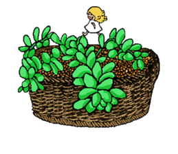 Fairy of succulent sticker #5111331