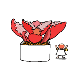 Fairy of succulent sticker #5111342