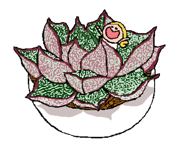 Fairy of succulent sticker #5111351
