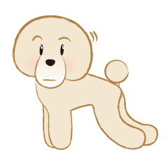 Gu Ge The Standard Poodle