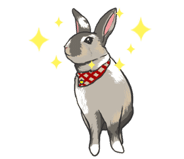 Royal College of Rabbit sticker #5115198