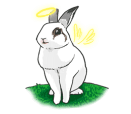Royal College of Rabbit sticker #5115200