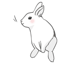 Royal College of Rabbit sticker #5115204