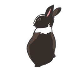 Royal College of Rabbit sticker #5115210