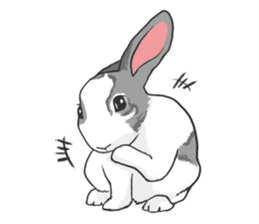 Royal College of Rabbit sticker #5115213