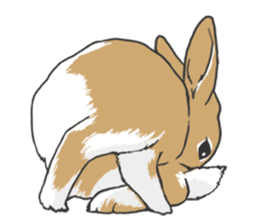 Royal College of Rabbit sticker #5115214